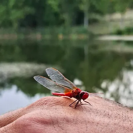 펜션 Viva La Vida House Smederevska Palanka