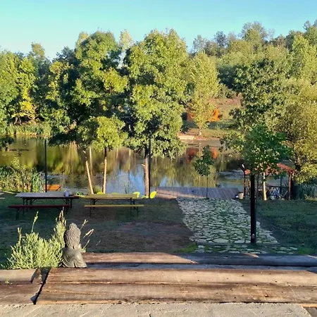 Viva La Vida House *