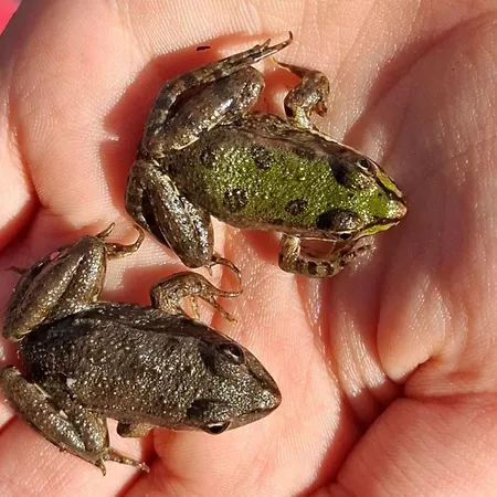 펜션 Viva La Vida House