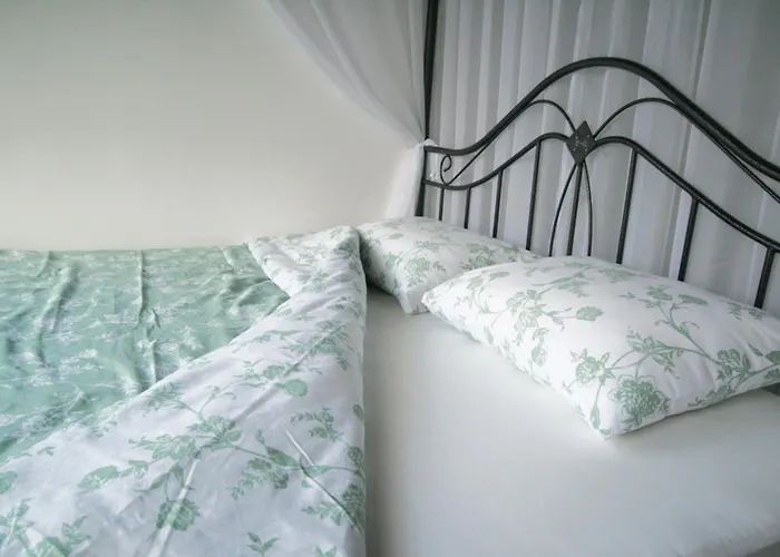 Viva La Vida House 펜션