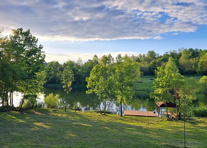 Viva La Vida House 펜션