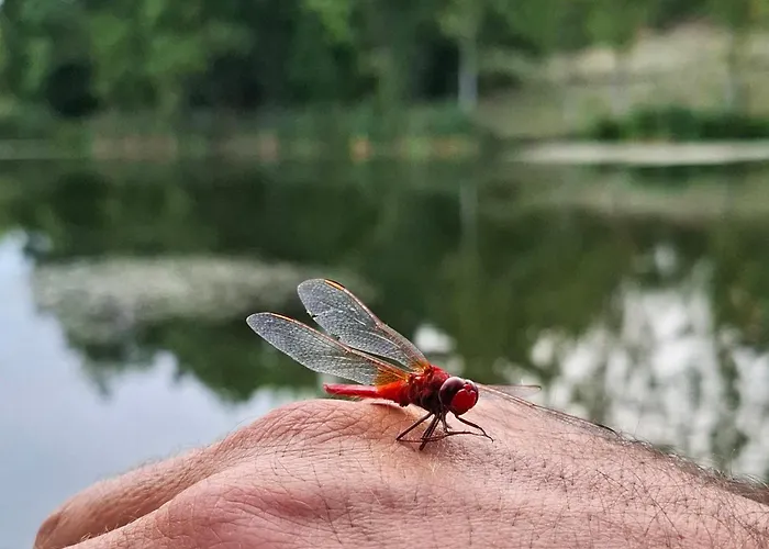 펜션 Viva La Vida House Smederevska Palanka