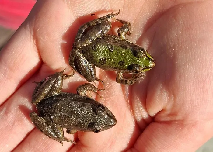 펜션 Viva La Vida House