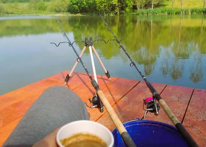 Viva La Vida House * Smederevska Palanka