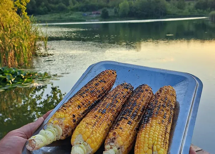 Nyaraló Viva La Vida House *